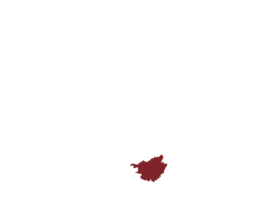 关于康达-临床试验现场管理组织(SMO)
